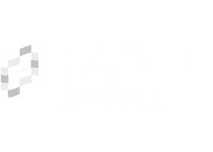 Essor